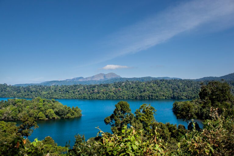 A calm blue lake dotted with small islands and surrounded by dense green forest