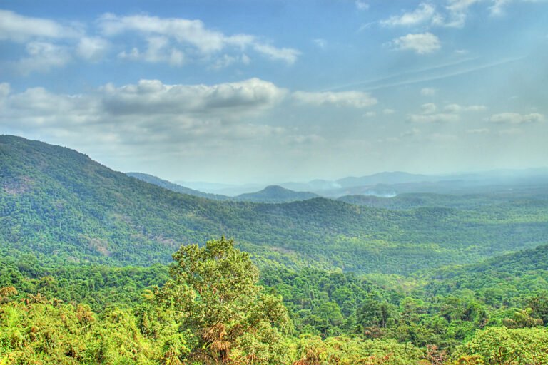 Lush green rolling hills stretching under a bright blue sky
