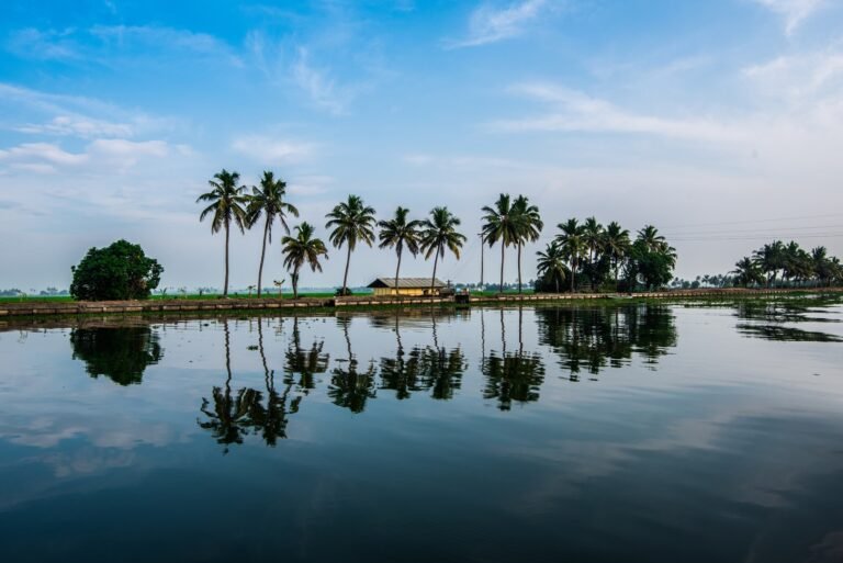 Palm trees reflected in the mirror-calm surface of tropical backwaters